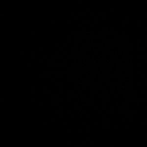 Meet your Posher, Dejanna